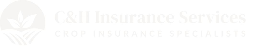 White background with the phrase "You are enough" written in a light, almost transparent font, making the words subtly blend into the background.